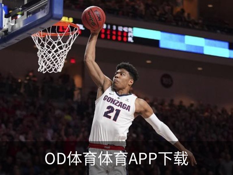 OD体育体育APP下载介绍